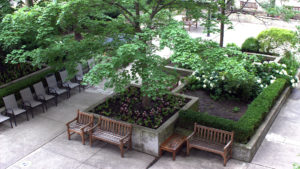 Two Neptune Courtyard Garden