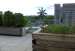 Image of roof terrace