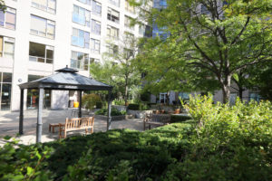 image of front garden in sunlight