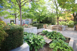 image of courtyard view 2