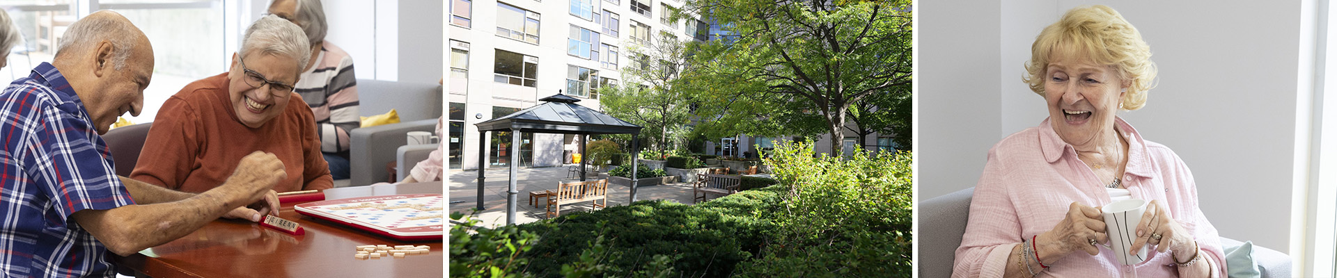 Two Neptune banner image