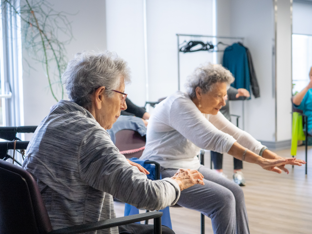 senior exercise activities