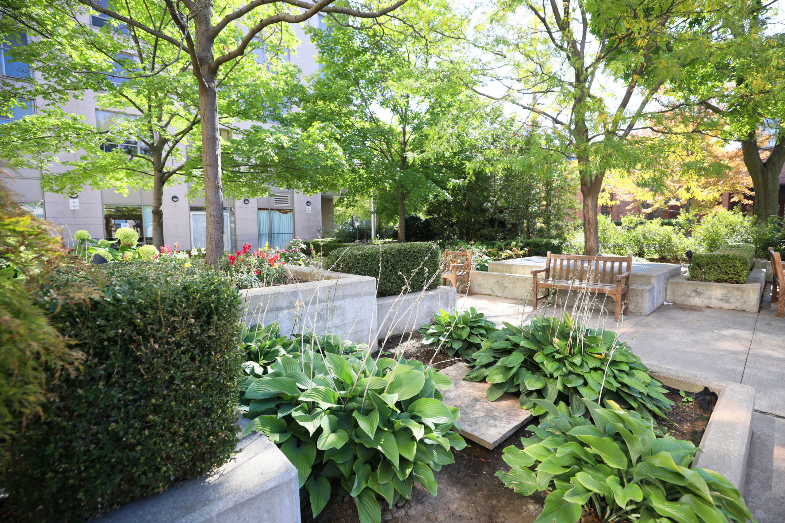 Two Neptune - Courtyard
